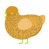 (unnamed), a ochre and honey chicken with a double-lace pattern