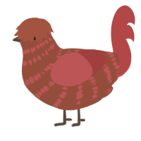 A russet and red chicken with a bar pattern