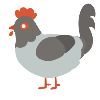 A silver and grey chicken with a head pattern