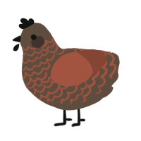 A bark and russet chicken with a lace pattern
