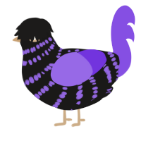 A sable and blurple chicken with a bar pattern