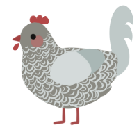 A ash and silver chicken with a double-lace pattern
