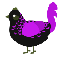 A black and amethyst chicken with a half-lace pattern