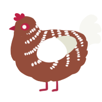 A russet and white chicken with a half-bar pattern
