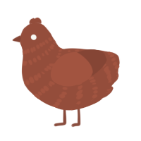 A russet chicken with a bar pattern