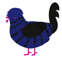 A navy and black chicken with a bar pattern