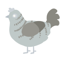 A silver and ash chicken with a half-bar pattern