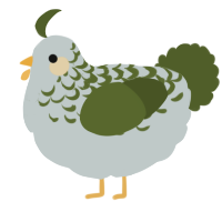 A silver and olive chicken with a half-lace pattern