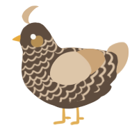 A bark and beige chicken with a lace pattern