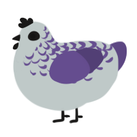 A silver and overcast chicken with a half-lace pattern