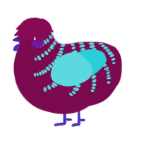 A wine and aqua chicken with a half-bar pattern