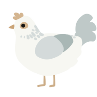 A white and silver chicken with a neck-speckle pattern