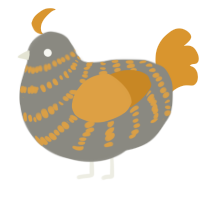 A ash and orange chicken with a bar pattern