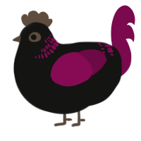 A black and wine chicken with a neck-band pattern