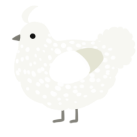 A white chicken with a speckle pattern