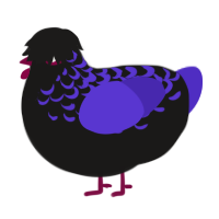 A sable and indigo chicken with a half-lace pattern