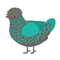 A grey and turquoise chicken with a lace pattern