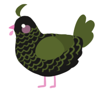A sable and olive chicken with a lace pattern
