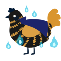 A sable and orange chicken with a bar pattern