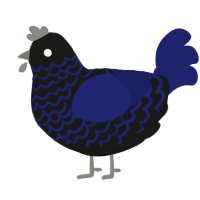 Dark sky, a sable and navy chicken with a lace pattern