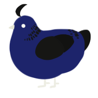 A navy and black chicken with a neck-band pattern