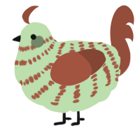 A gluppy and russet chicken with a bar pattern