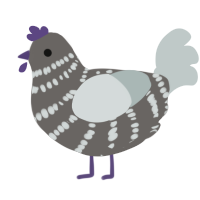 A grey and silver chicken with a bar pattern