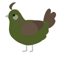A olive and bark chicken with a neck-band pattern
