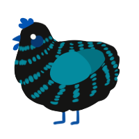 A black and sea chicken with a bar pattern