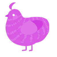 A orchid chicken with a bar pattern