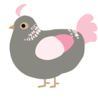 A ash and rose chicken with a neck-band pattern