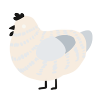 A cream and mist chicken with a bar pattern