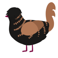 A sable and brown chicken with a half-bar pattern