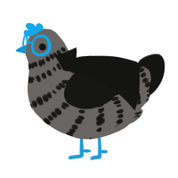A grey and black chicken with a bar pattern