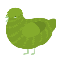 A chartreuse chicken with a bar pattern