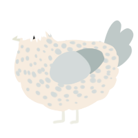 A cream and silver chicken with a speckle pattern