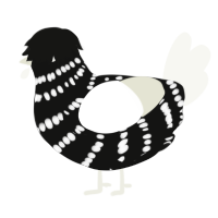 A black and white chicken with a bar pattern