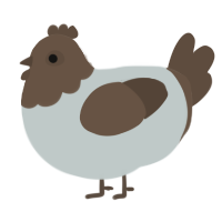 A silver and bark chicken with a head pattern
