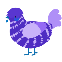 A indigo and lilac chicken with a bar pattern