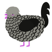 A ash and black chicken with a lace pattern