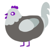 Wheat, a grey and silver chicken with a head pattern