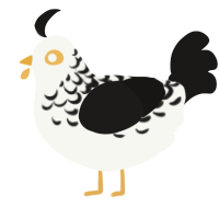 A white and sable chicken with a half-lace pattern