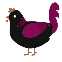 Winezy, a black and wine chicken with a neck-band pattern