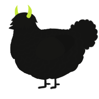 Shadow, a black chicken with a lace pattern