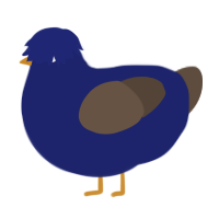 A navy and bark chicken