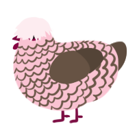 A rose and bark chicken with a lace pattern