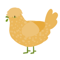 A honey chicken with a speckle pattern