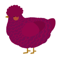 Berry Jam, a wine and maroon chicken with a lace pattern