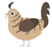A beige and bark chicken with a half-bar pattern