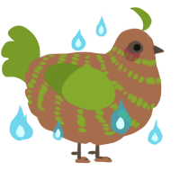 A brown and chartreuse chicken with a bar pattern